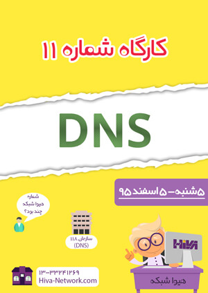 کارکاه هیوا شبکه برای dns